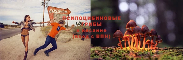 гидропоника Аркадак