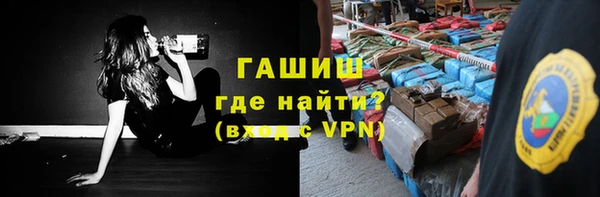 хмурый Арсеньев