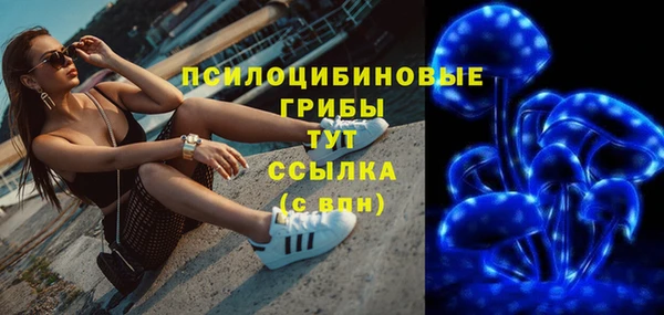 хмурый Арсеньев