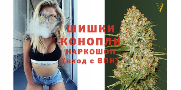 хмурый Арсеньев