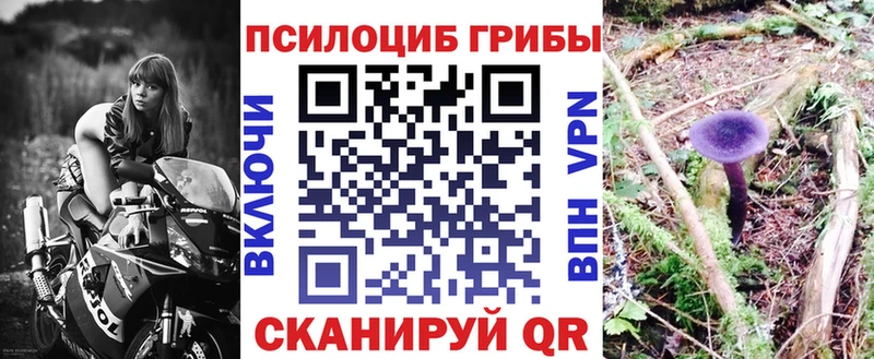 kraken ССЫЛКА  Валдай  Псилоцибиновые грибы Magic Shrooms 